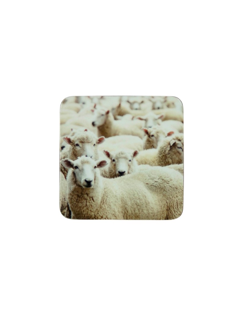 Untersetzer Schafe